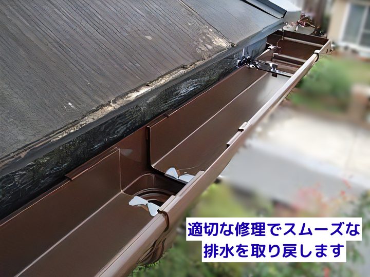 適切な修理でスムーズな排水を取り戻します